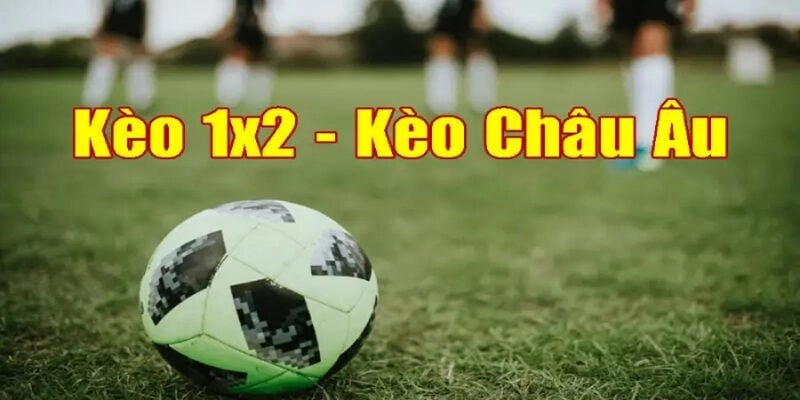 Công thức tính lợi nhuận kèo 1x2 vô cùng đơn giản
